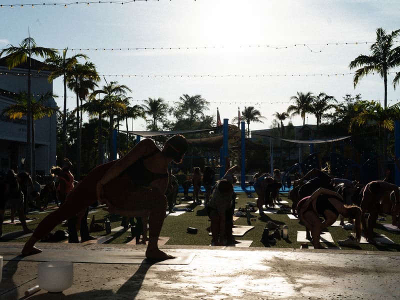 Outdoor beach and park yoga session under palm trees