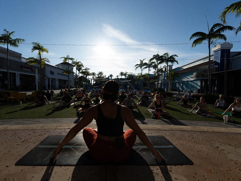 Backlit outdoor vinyasa flow at golden hour